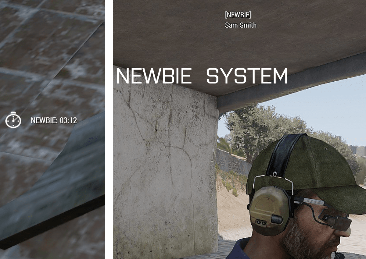 Newbie System